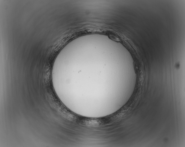 X0000115790513200911271230