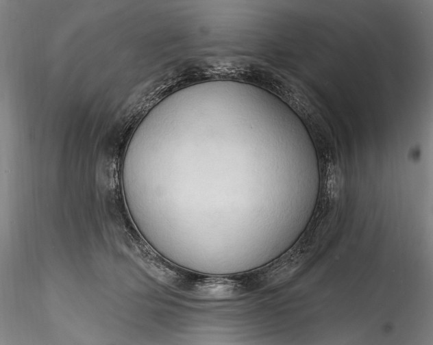 X0000115790514200911271230