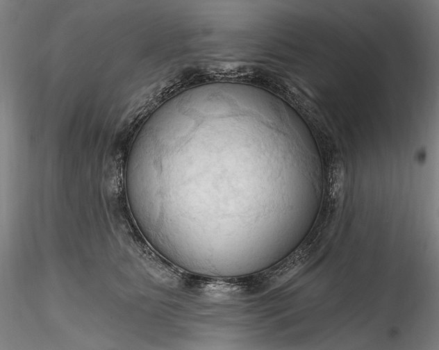 X0000115790515200911271230