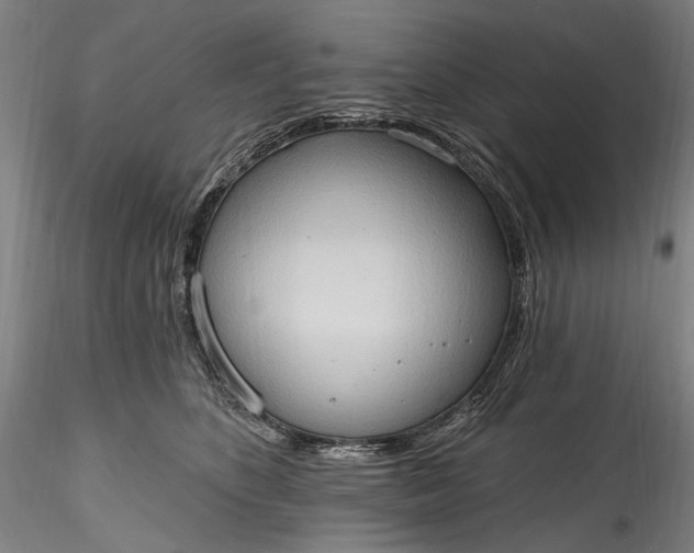 X0000115790516200911271230