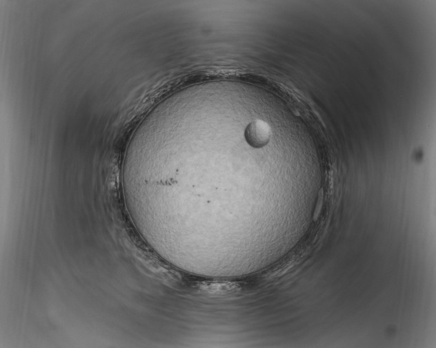 X0000115790517200911271230