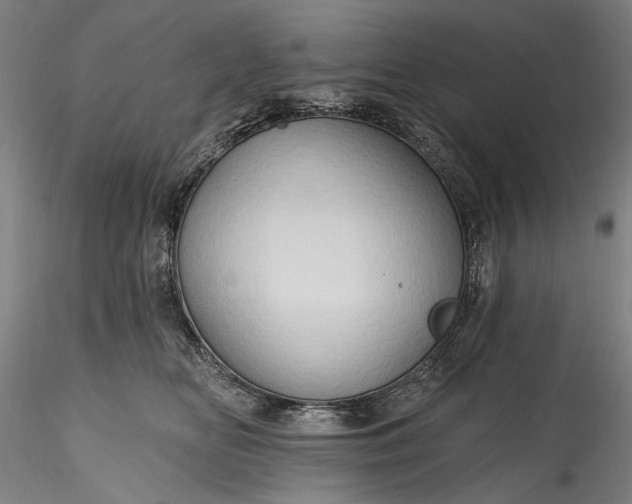 X0000115790518200911271230