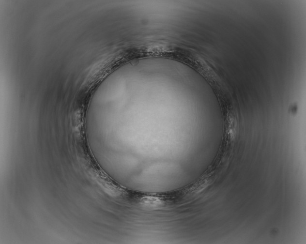 X0000115790519200911271230