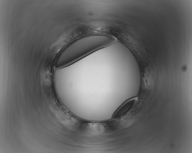 X0000115790520200911271230