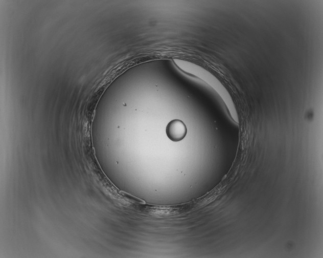 X0000115790521200911271230