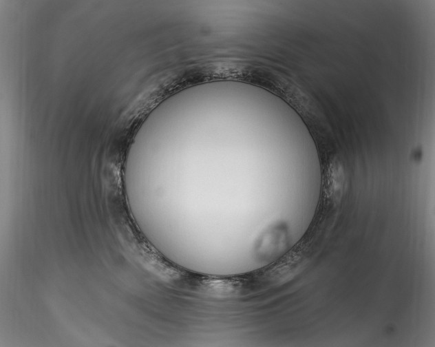 X0000115790522200911271230