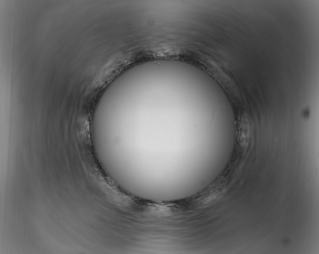 X0000115790523200911271230