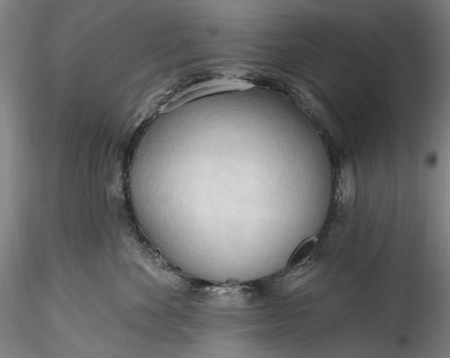 X0000115790524200911271230