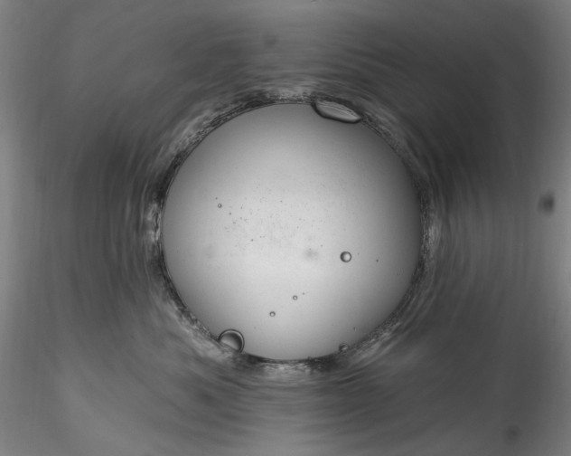 X0000115790525200911271230