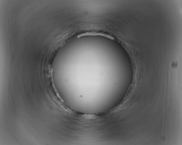 X0000115790528200911271230