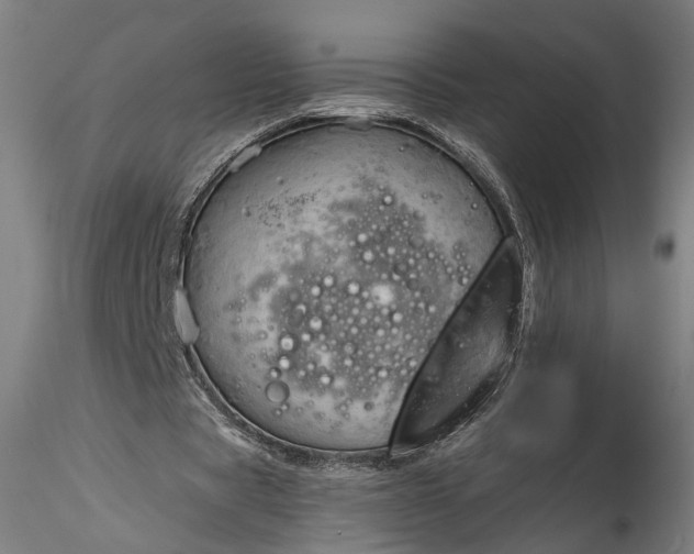 X0000115790529200911271229