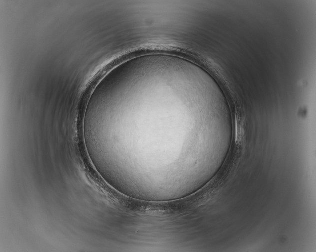 X0000115790531200911271229