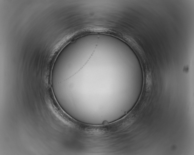 X0000115790533200911271229