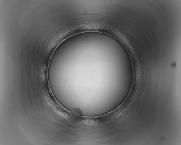 X0000115790537200911271229