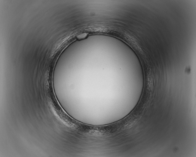 X0000115790538200911271229