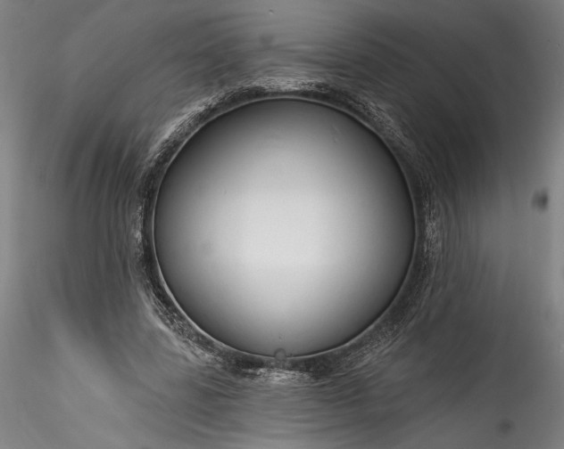 X0000115790539200911271229