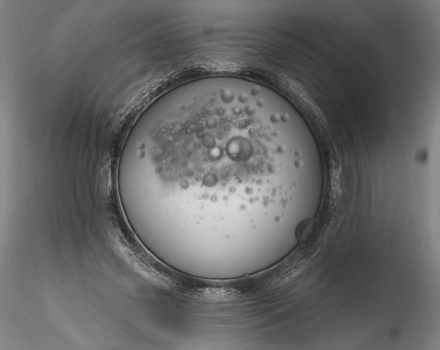 X0000115790541200911271229