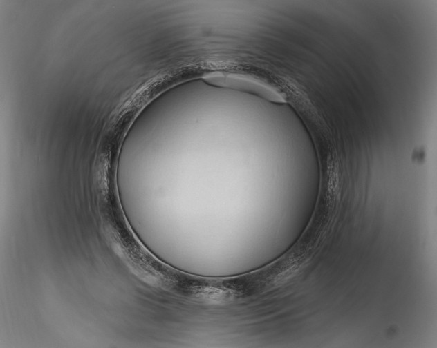 X0000115790542200911271229