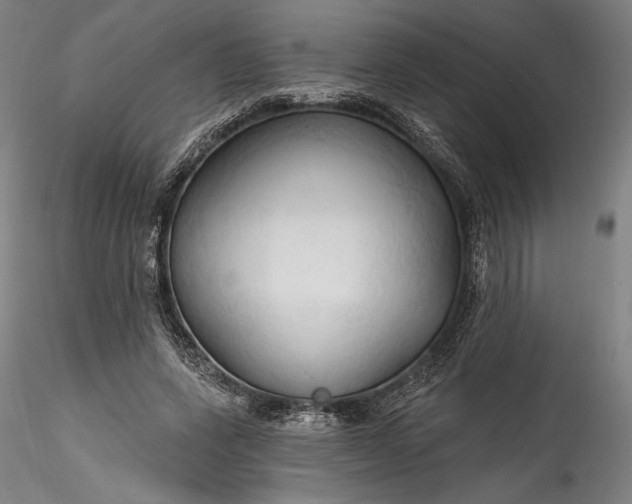 X0000115790543200911271229