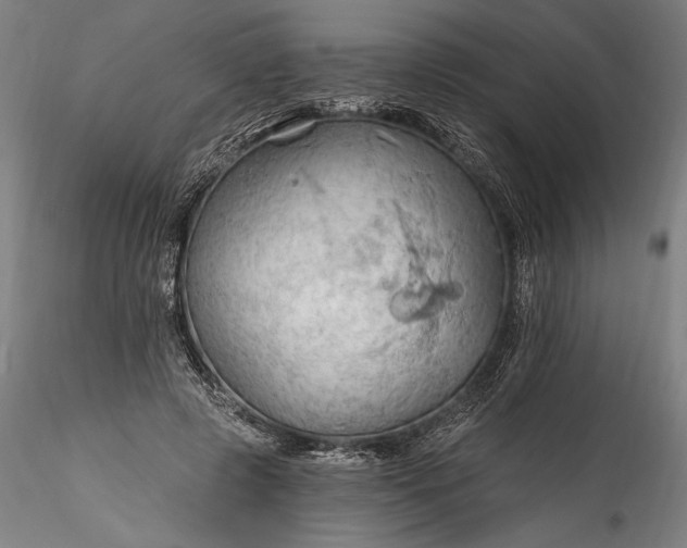 X0000115790545200911271229