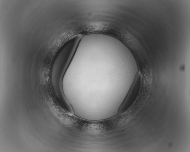 X0000115790546200911271229