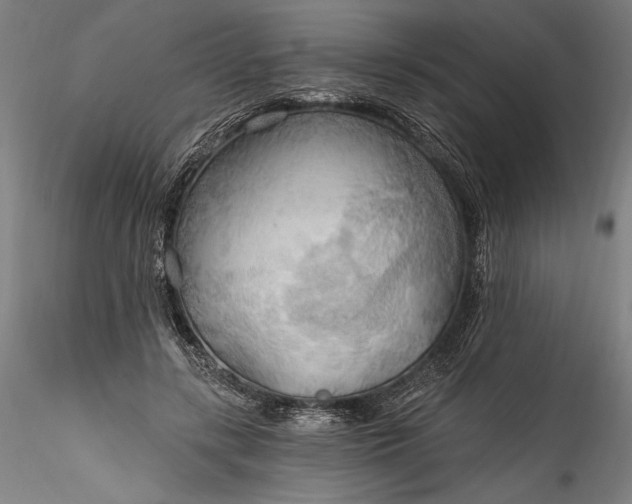 X0000115790547200911271229