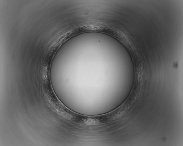 X0000115790549200911271229