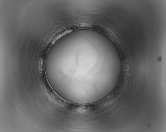 X0000115790550200911271229