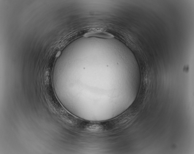 X0000115790551200911271229