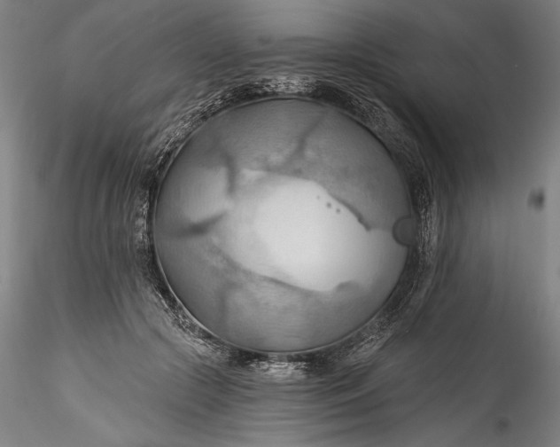 X0000115790553200911271229