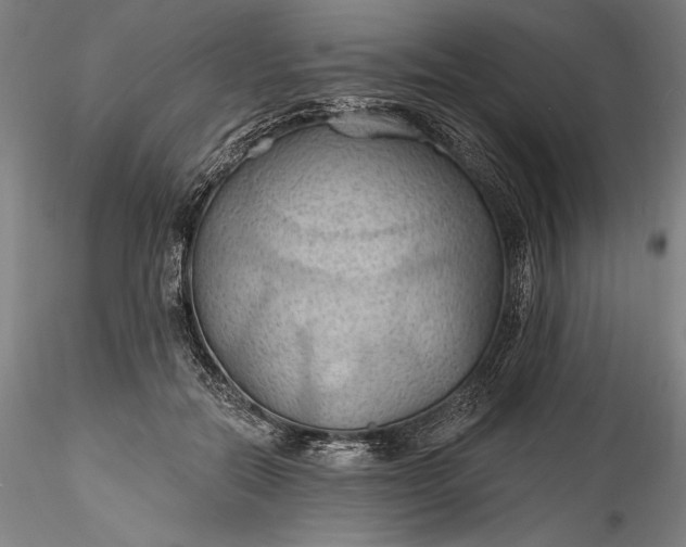 X0000115790554200911271229