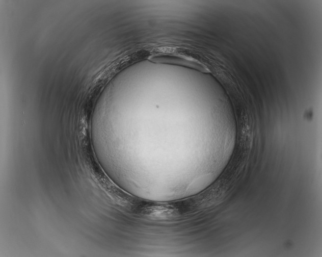 X0000115790555200911271229