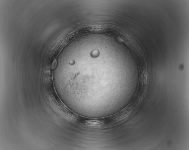 X0000115790557200911271229