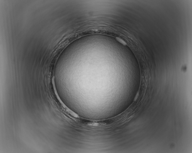 X0000115790558200911271229