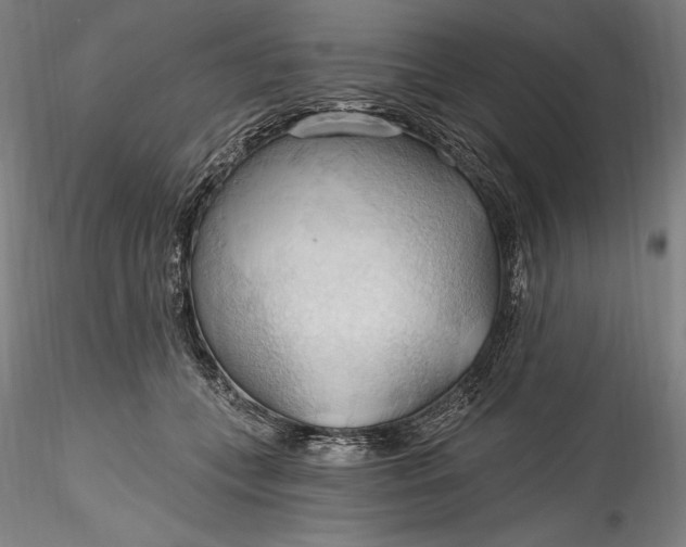 X0000115790559200911271229