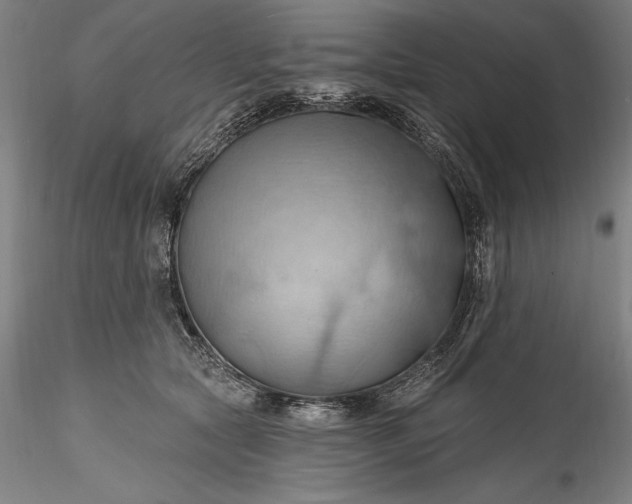 X0000115790561200911271229