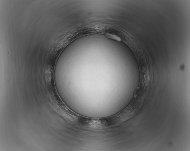 X0000115790562200911271229