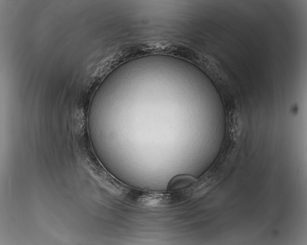 X0000115790563200911271229