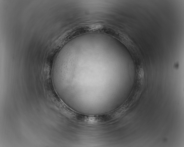 X0000115790565200911271229