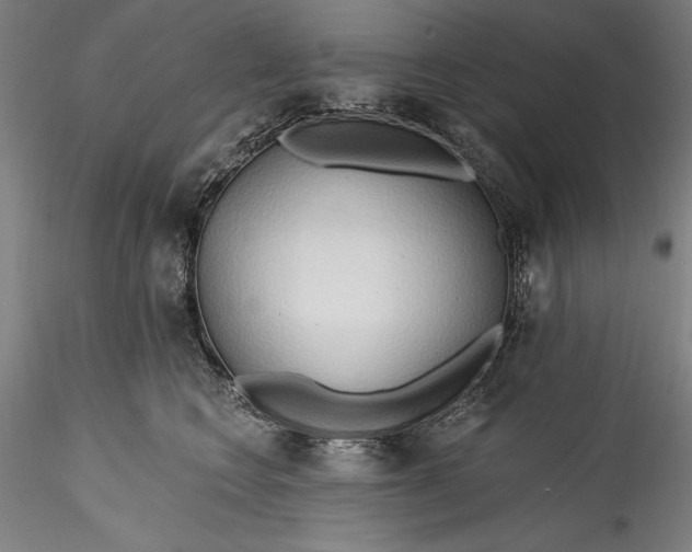 X0000115790566200911271229