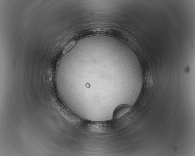 X0000115790567200911271229