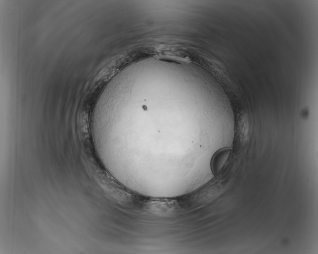 X0000115790571200911271230