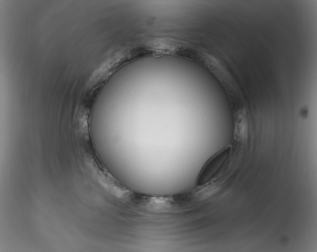 X0000115790573200911271230