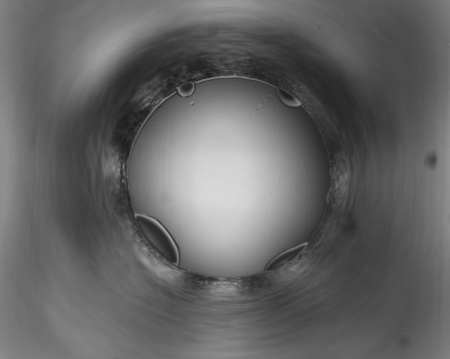 X0000115790574200911271230