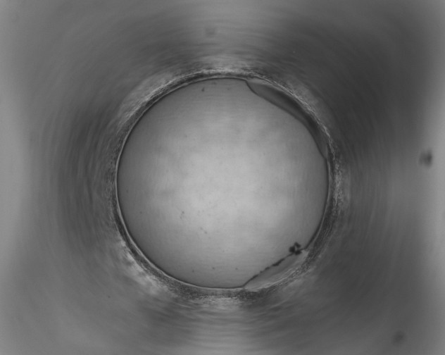 X0000115790577200911271229