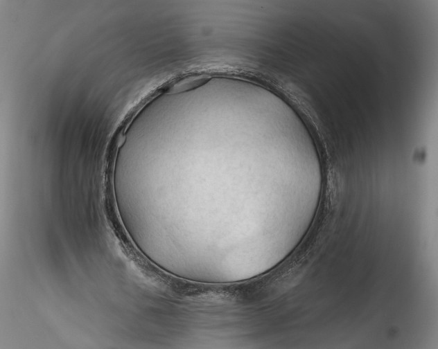 X0000115790578200911271229