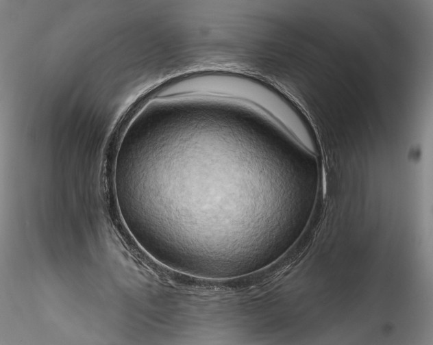 X0000115790579200911271229