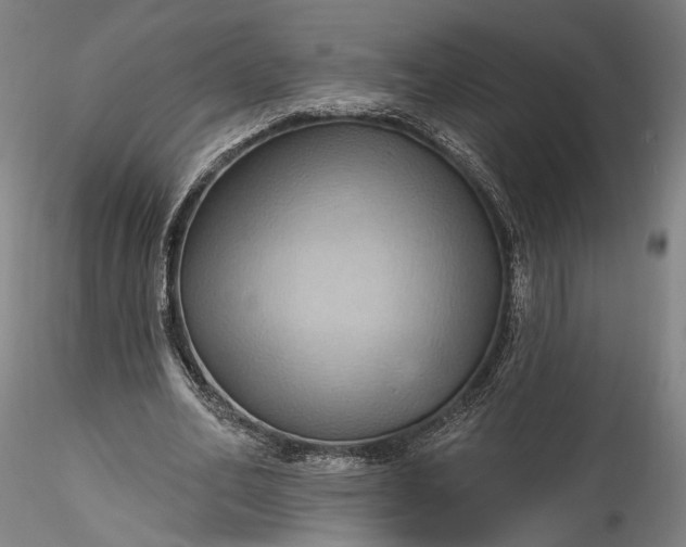 X0000115790582200911271229