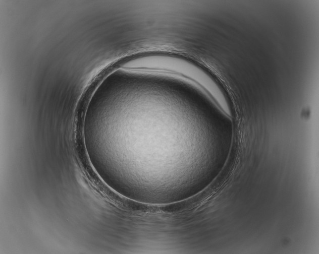 X0000115790583200911271229