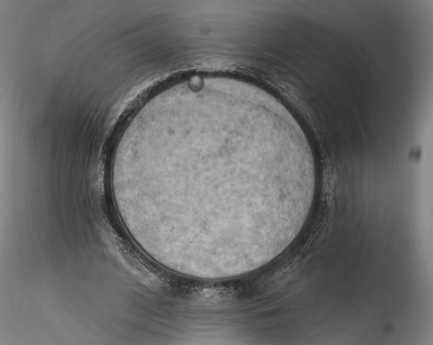 X0000115790584200911271229